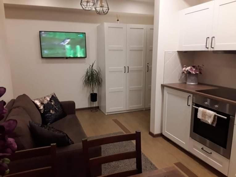 Barbora Apartament Друскининкай Экстерьер фото